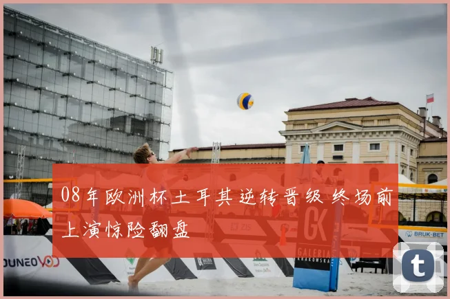 08年欧洲杯土耳其逆转晋级 终场前上演惊险翻盘