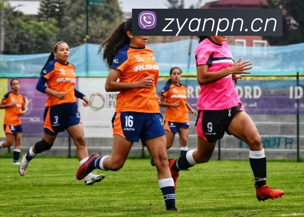 App Interface Preview